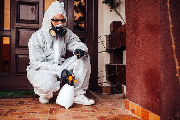 Reliable Wasp Removal contractor in Fort Myers, FL by Show Me Pest Control